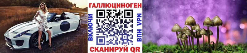 Купить где  Эртиль  Галлюциногенные грибы Psilocybine cubensis 